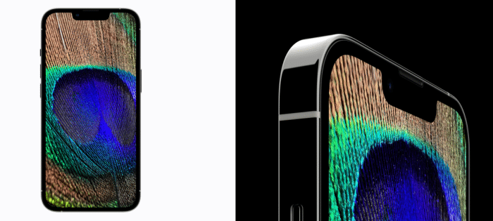 Apple iPhone 13 Pro mit Vertrag