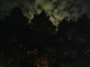 Motorola Edge 20 Pro - Nachtmodus #1