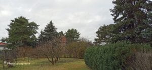 rephone - Foto/Garten - Main Full