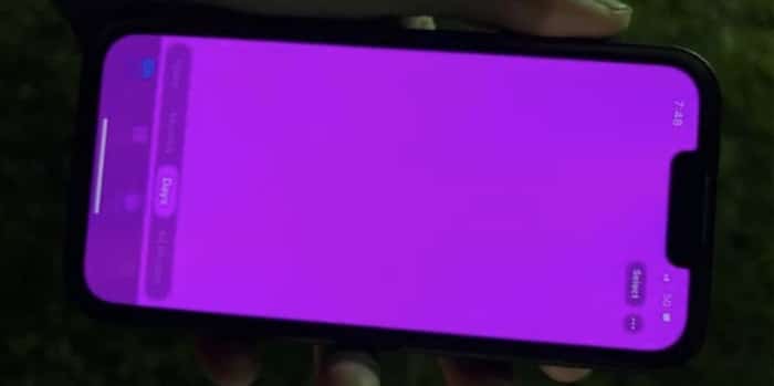 iPhone 13 pinkes Display