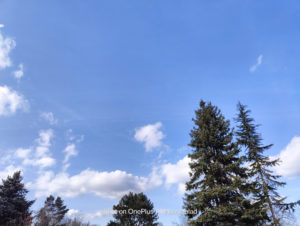 shot on OnePlus 10 Pro: Main Cam