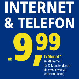 1u1 DSL