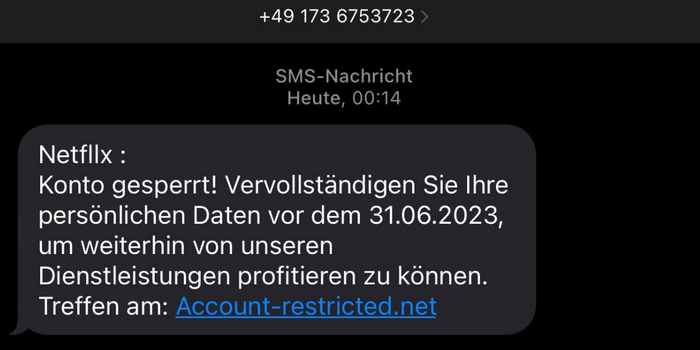 Netflix Betrug SMS