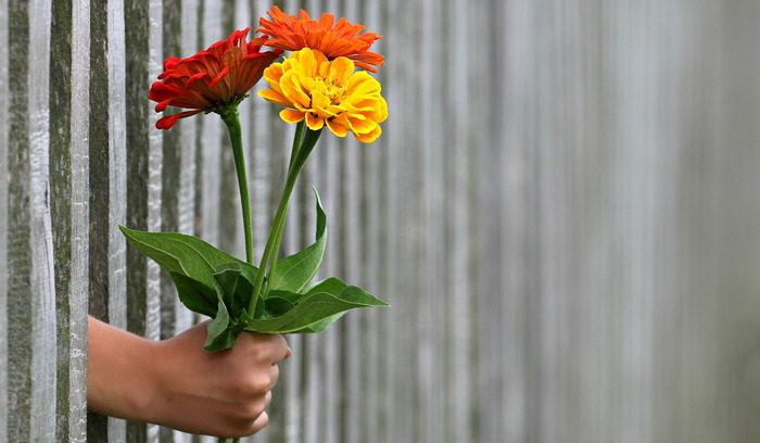 Blumen per App versenden Blumen per App versenden (Bild: Pixabay @klimkin)
