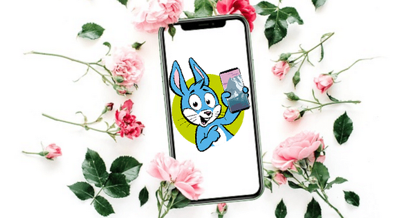 Online Blumen zum Muttertag verschicken (Bild: Hollanddesign @ pixabay, handyhase.de)