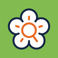 Flora Incognita App
