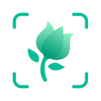 PictureThis App