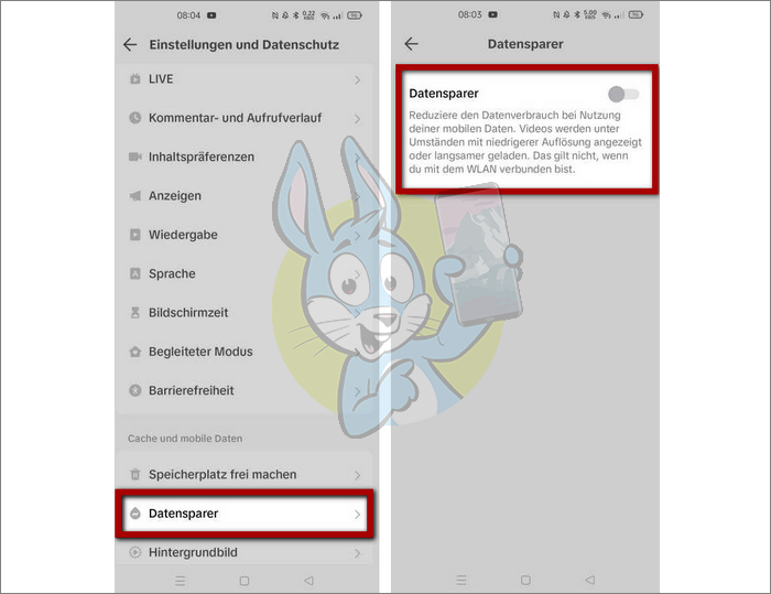 TikTok Daten sparen