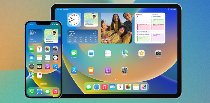 Apple iOS Vorgänger