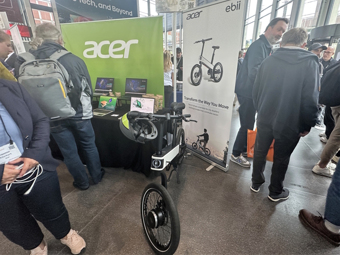 Acer ebii