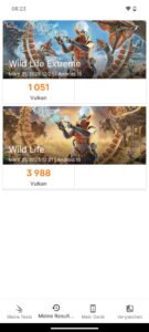 3DMark-Ergebnis. (Screenshot)