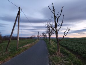 Hauptkamera des Nothing Phone (3a). (Foto: Sven Wernicke / Handyhase.de)