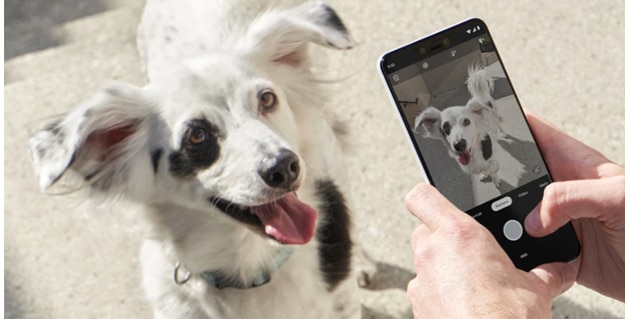 Google Pixel 3 Vertrag, Test, Einschätzung