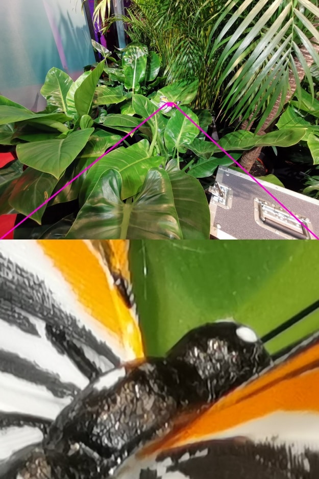 Huawei P30 Pro Kamera-Test
